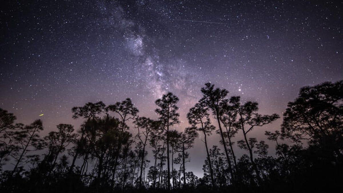 Get Outside Monday Night to See the Eta Aquarid Meteor Shower Peak