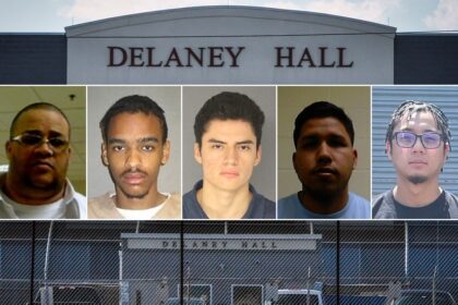 ICE facility Democrats ‘stormed’ holds child rapists, murderers: officials