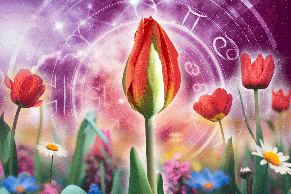What’s in the stars for June 2025? Summer solstice is upon us — and good luck is changing signs