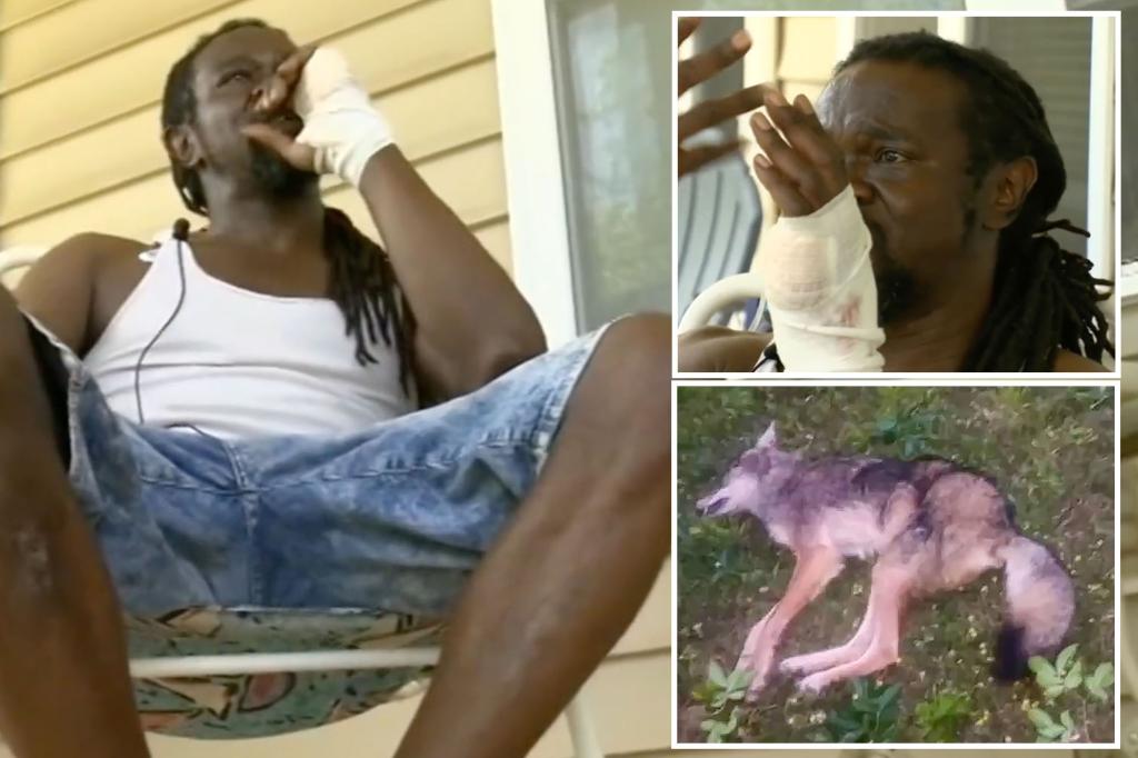 Man ‘jumped’ by coyote saves himself by strangling it for 10 minutes: ‘Either him or me’