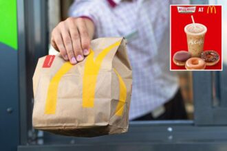 Krispy Kreme pauses doughnut rollout with McDonald’s after surprising lack of demand