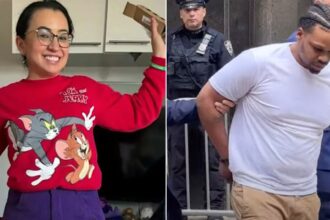 Convicted rapist on parole charged with attempted murder after brutal attack leaves NYC mother in coma