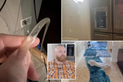Florida family claims 0K in home damages over Costco-installed fridge — even had to relocate: report