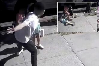 Brute sucker-slaps 9-year-old girl on NYC street, bites NYPD sergeant’s fingertip off: DA