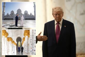 Trump hails ‘incredible culture’ of Islam in rare presidential mosque visit