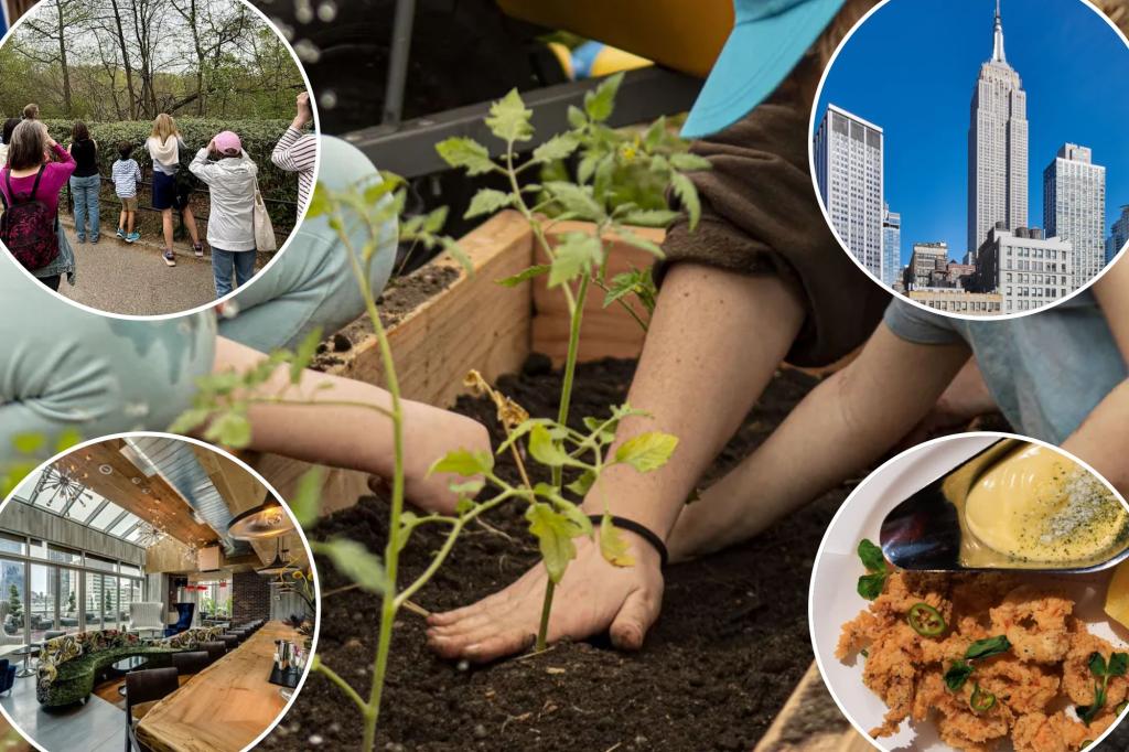 Spring things to do in NYC: Bird walks, a sky-high dip and a golden ticket