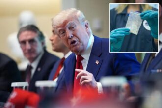Top Chinese official asking what Trump wants Beijing to do about fentanyl ingredients in possible sign of thawing trade war: report