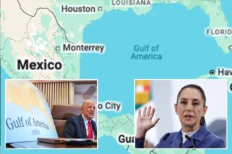Mexico sues Google for changing ‘Gulf of Mexico’ to ‘Gulf of America’ after Trump’s order