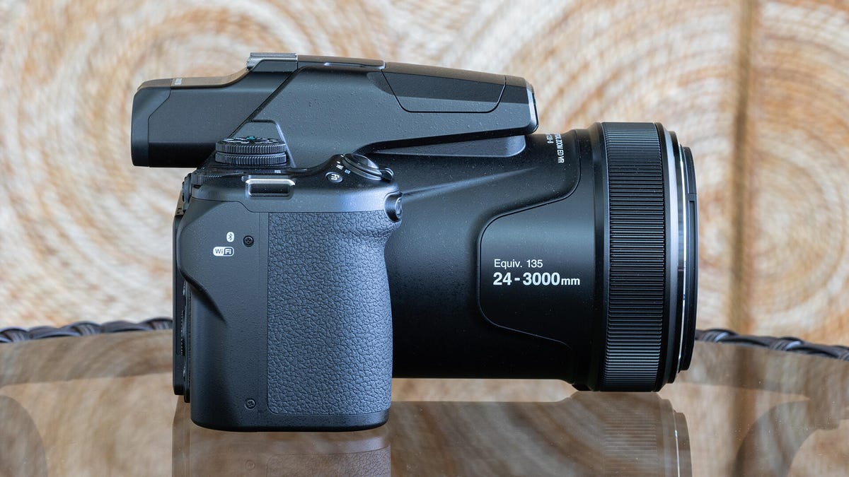 Nikon Coolpix P1100 Superzoom Camera Review: See Bird Butts From 1,000 Feet
