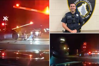 Dramatic video shows hero cops drag dazed driver from car before train smashes into it