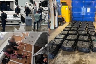 Australian authorities intercept over a ton of cocaine worth 0M
