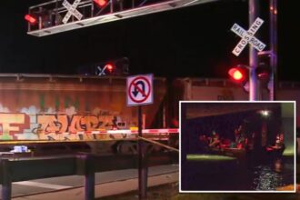 Mother and daughter dead, toddler injured and child missing after train strikes family crossing Ohio tracks