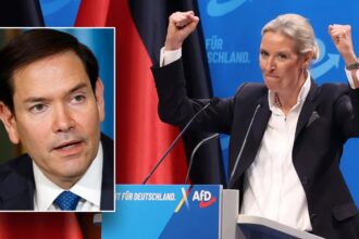 Intelligence agency classifies country’s popular Alternative for Germany party as ‘extremist’