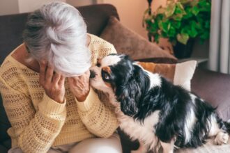 Dear Abby: I’m in love with the much younger man I dog sit for