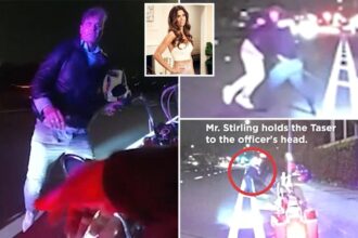 Grim moment ex-Real Housewives star’s brother is fatally shot by cop during traffic stop