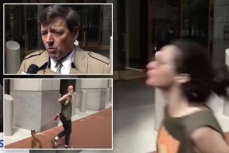 Failed Trump nominee Ed Martin spit on by enraged passerby during live interview, shocking video shows