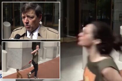 Failed Trump nominee Ed Martin spit on by enraged passerby during live interview, shocking video shows