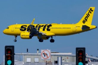 Passenger vows to never fly Spirit Airlines again over nightmare seatmate: ‘This is crazy’