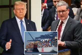 Trump to announce major trade agreement with ‘big, and highly respected’ Britain: report 