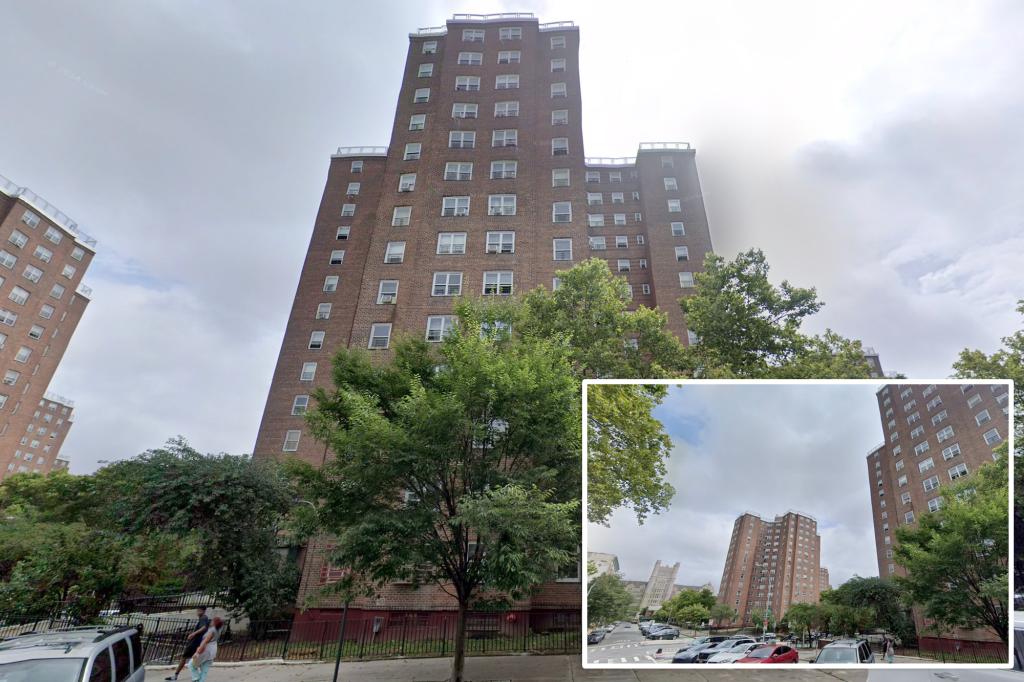 Boy, 17, shot — possibly by Citi Bike-riding gunman — hours after 2 other teens hurt in gun violence: cops