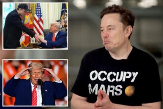 Musk admits Trump ‘does things I don’t entirely agree with,’ opens up about DOGE scars