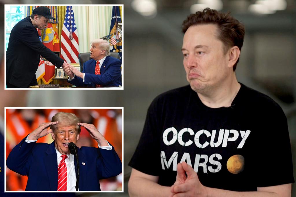 Musk admits Trump ‘does things I don’t entirely agree with,’ opens up about DOGE scars