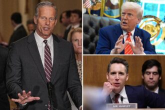 Sen. John Thune reveals GOP plans for Trump’s ‘Big Beautiful Bill’ that narrowly passed House