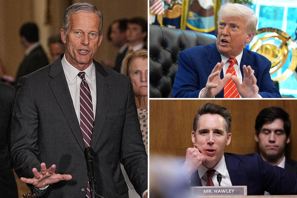 Sen. John Thune reveals GOP plans for Trump’s ‘Big Beautiful Bill’ that narrowly passed House