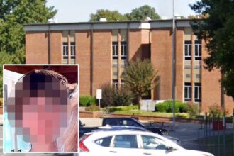 North Carolina student who was suspended for saying ‘illegal alien’ in class to receive K, apology from school in settlement 