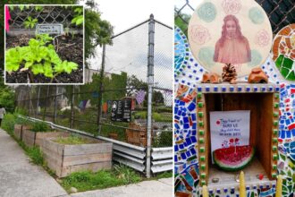 Judge grants reprieve for anti-Israel Queens community garden after city pulls license