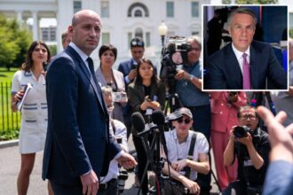 Senior ABC News correspondent goes on wild screed against top Trump adviser Stephen Miller: ‘He eats his hate’