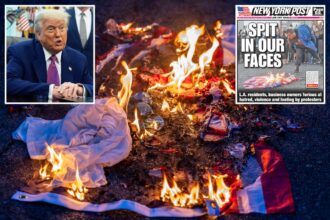 Exclusive | Trump tells Miranda Devine LA riot flag burners should get year in prison and Newsom could be ‘charged in theory’