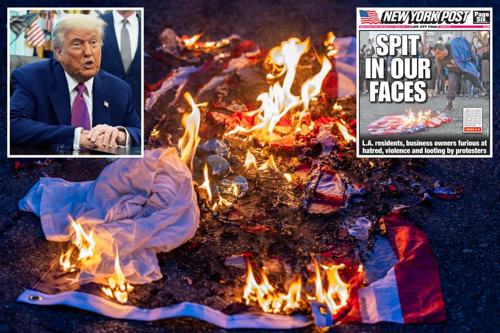 Exclusive | Trump tells Miranda Devine LA riot flag burners should get year in prison and Newsom could be ‘charged in theory’
