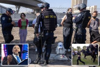 Exclusive | Border Patrol union chief says they’re in it ‘for the long haul’ as anti-ICE riots rage in LA