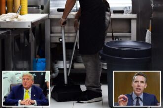 Where does Trump stand on Josh Hawley’s push to raise minimum wage?