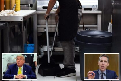 Where does Trump stand on Josh Hawley’s push to raise minimum wage?