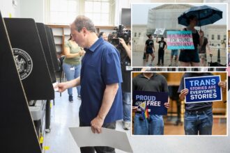 Majority of Democratic voters think the party should stop focusing on transgender issues and replace leadership  