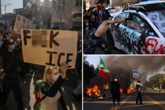 Exclusive | House Judiciary Committee opens probe into taxpayer-funded group’s potential ties to LA anti-ICE riots