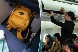 Passenger’s carry-on hack sparks debate over plane etiquette: ‘How did flight attendants miss this?’