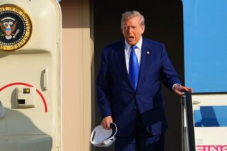 Trump casts doubt over US commitment to NATO mutual defence clause