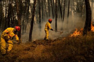 Portugese landowners face fines as wildfire inspections begin