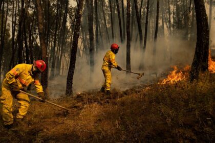 Portugese landowners face fines as wildfire inspections begin