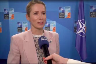 Kaja Kallas: ‘We’ve listened to Trump’ on defence spending