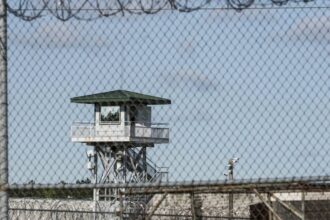 Sweden reaches deal with Estonia to rent prison cells to house inmates