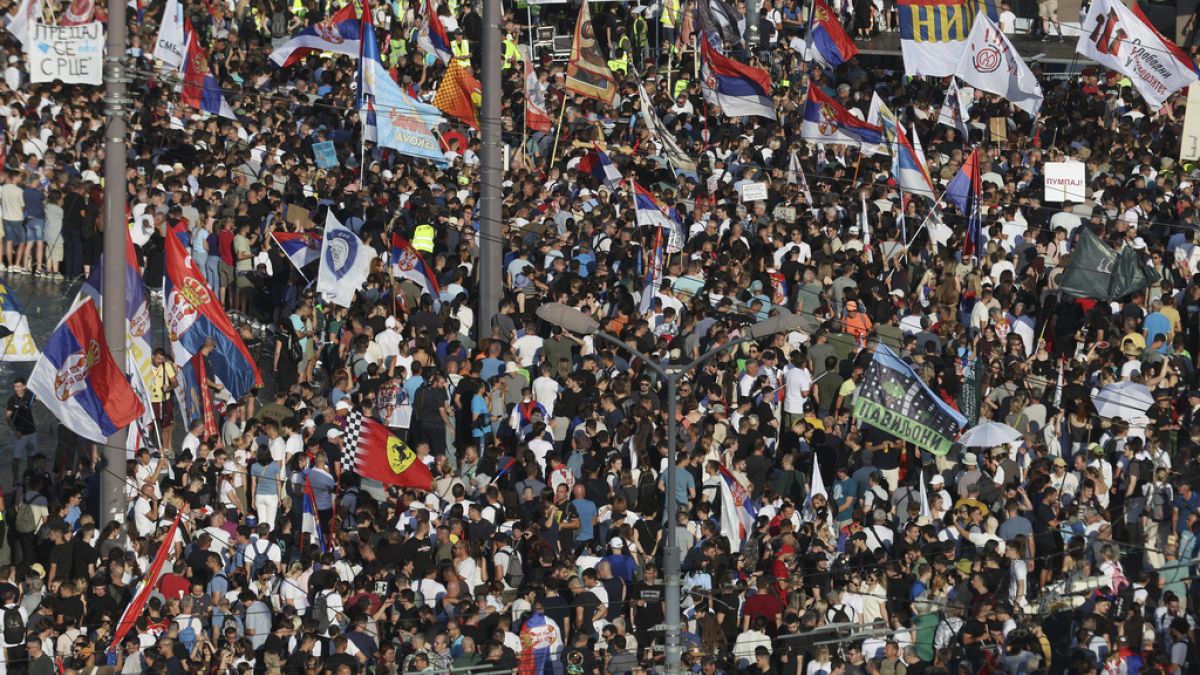 Anti-government protest in Serbia calls for early elections