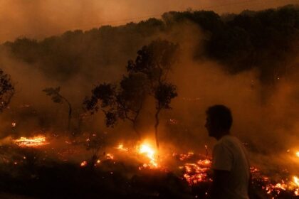 ECA flags inefficiencies in EU wildfire spending