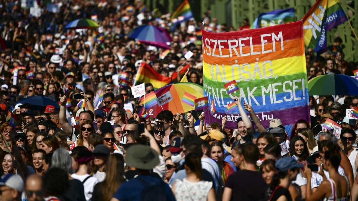 Hungary’s LGBTQ+ law breaches EU regulation, top court advocate says