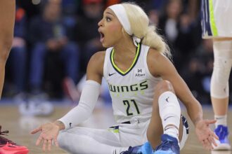 WNBA player DiJonai Carrington lashes out at refs after they called security on her during argument