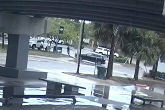 Florida man violently hit by SUV, police say road rage sparked the incident