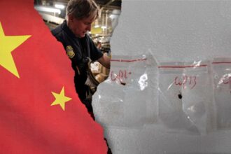 Chinese official claims no knowledge of fungus situation, says China requires citizens ‘abide by local laws’
